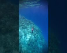 Descubre las Maravillas del Buceo en las Cristalinas Aguas de Bélgica: Un Destino Imperdible para los Amantes del Turismo Subacuático