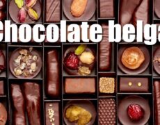 Descubre el delicioso sabor del auténtico chocolate belga en la gastronomía de Bélgica