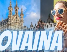 Descubre Lovaina: Un viaje al corazón del turismo universitario histórico