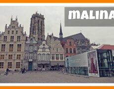 Descubre la impresionante Catedral de San Romualdo en tu viaje a Malinas: turismo y cultura en una sola parada