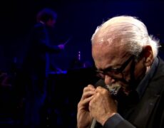 Descubre la vibrante escena de jazz en Bélgica: de festivales a leyendas como Toots Thielemans