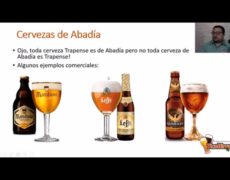 Descubre las mejores cervezas trapenses belgas en un inolvidable viaje de turismo por abadías