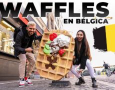 Descubre el sabor de Bélgica: turismo gastronómico con los mejores chocolates y gofres