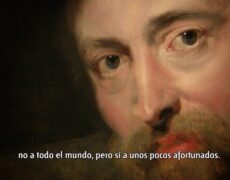 Descubre el impresionante Museo de Rubens en Amberes: Un imperdible en tu viaje de turismo cultural