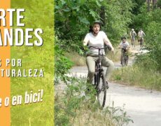 Descubre el turismo de aventura en las Dunas de Flandes: ¡El destino ideal para tu próximo viaje de senderismo en Bélgica!