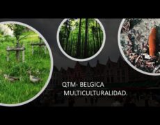Descubre el turismo natural en Bruselas: Visita el Bosque de Soignes