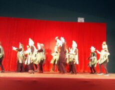 Descubre el encanto del Carnaval de la Tercera Edad en Lokeren: Una experiencia única de turismo y viaje
