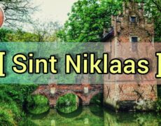 Descubre el encanto de Sint-Niklaas y su impresionante Mercado de Waas: una experiencia imperdible para tu próximo viaje turístico