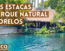 Descubre el encanto de Spa y su parque natural en tu próximo viaje de turismo