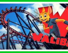Descubre Wavre y su increíble parque de atracciones Walibi: Un destino imperdible para tu próximo viaje de turismo