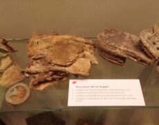 Descubre Ypres: un viaje al corazón de la Primera Guerra Mundial en su impresionante museo