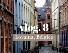 Descubre Leuven: Turismo y Viaje en la Plaza del Mercado