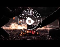 Descubre el sabor auténtico de Bélgica: Proba los gofres en una cafetería local durante tu viaje de turismo