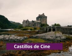 Descubre la historia y el encanto del Castillo de Ecaussinnes-Lalaing en un inolvidable viaje turístico por Hainaut