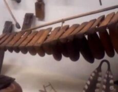 Descubre el turismo cultural en Tervuren: Visita el Museo Real de África Central