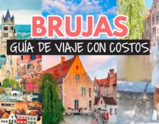 Descubre el turismo científico en Brujas: Visita el Museo de Ciencias Naturales